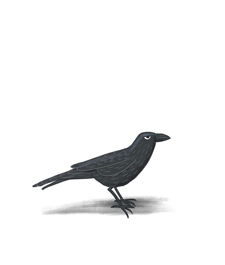 Raven